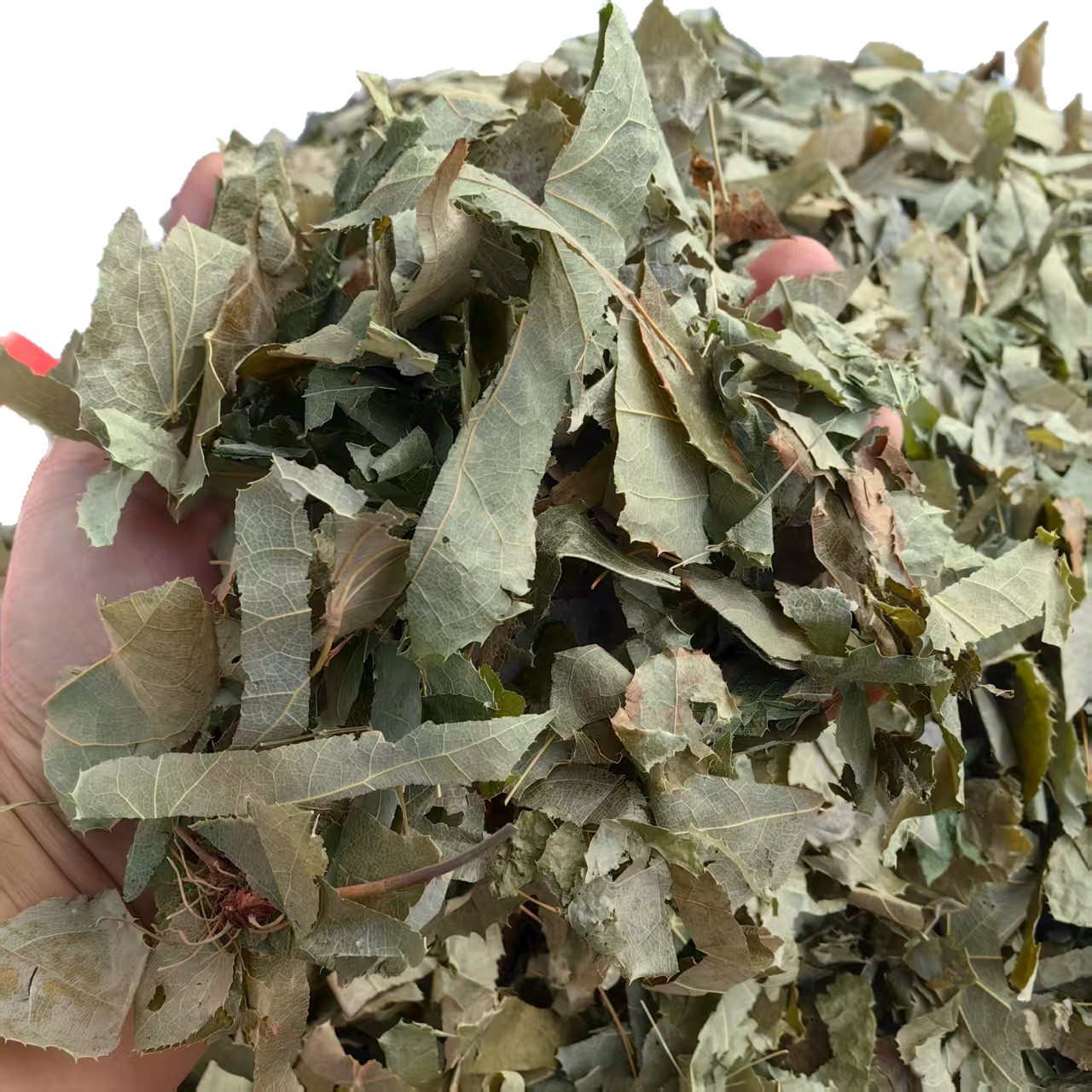 Epimedium Yin Yang Huo Dried Herb Sichuan Origin Traditional TCM Herbal Tea Ingredient 500g 1000g - Image 5