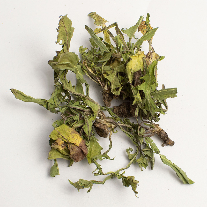 Dandelion Leaf Tea Pu Gong Ying 500g Premium Tender Leaves Sun Dried Loose Herbal Tea - Image 3