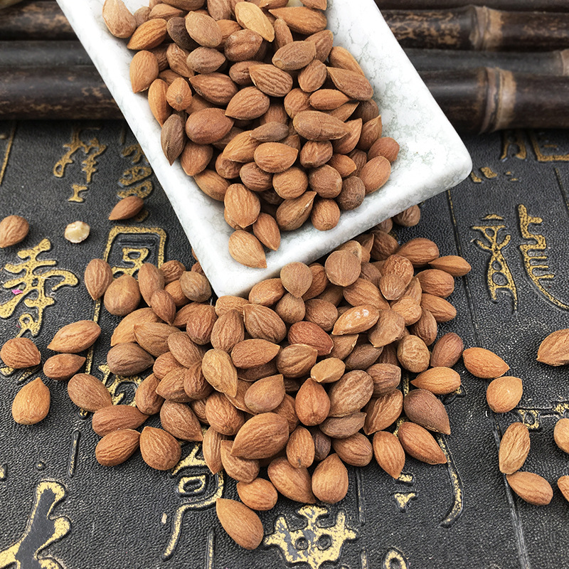 Chinese Bush Cherry Seed Yu Li Ren Prunus humilis Dried Herbal Powder Bulk Wholesale - Image 4