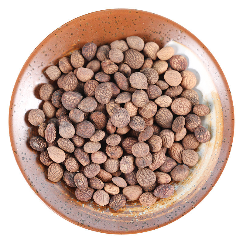 Wild Rui Ren Kernels Rui Ren Zi 500g Dried Prinsepia Seeds Traditional TCM Herb - Image 5