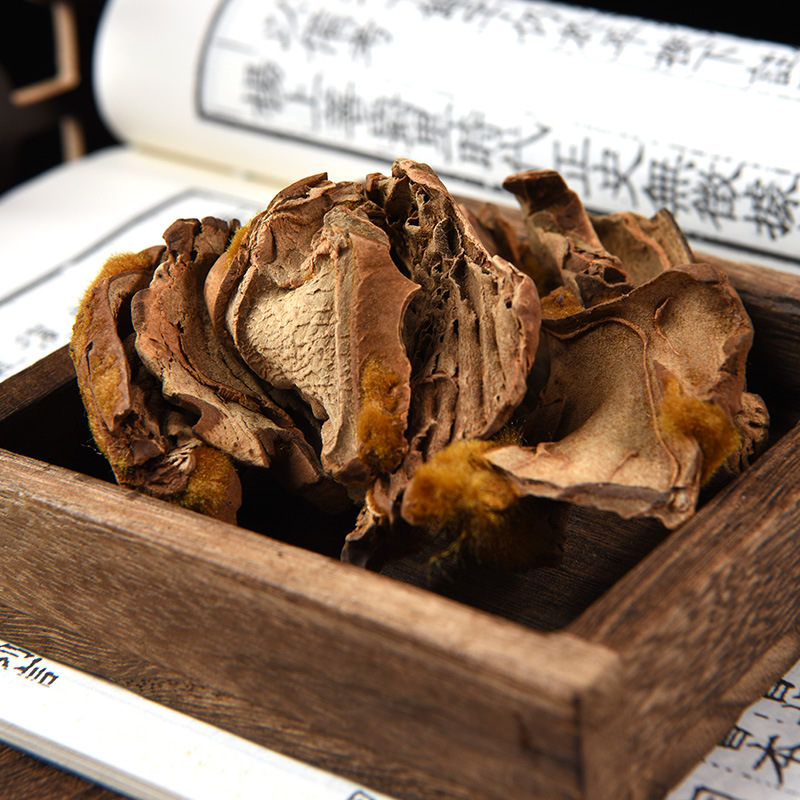 Gou Ji (Cibotium barometz) — Golden Hair Dog Spine Rhizome, Prepared & Powdered - Image 4