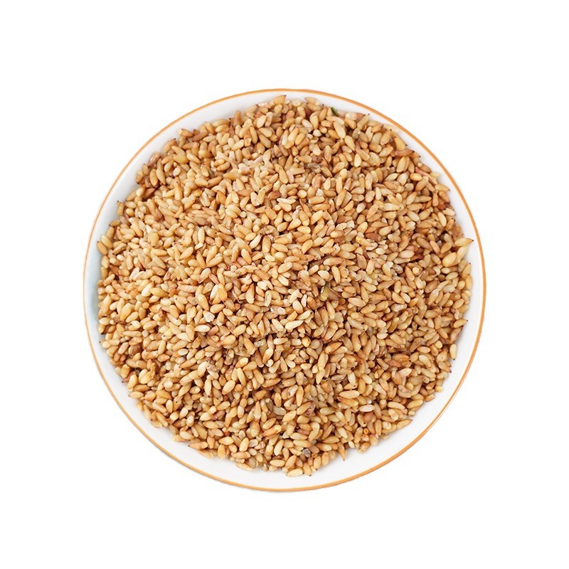 Bai Zi Ren Powder (Platycladus orientalis Seed) — Dried Arborvitae Seed Powder, 500g - Image 5