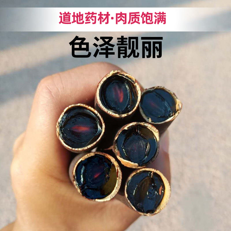 Bian Mi Gu Dried Cassia Fruit Pulp 500g Yunnan Da Jie Gu Traditional Herbal Fruit - Image 3