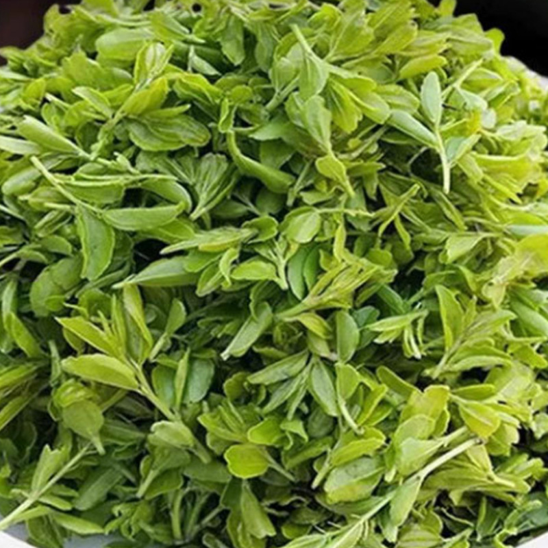Sour Jujube Sprout Tea Suan Zao Ya Loose Herbal Tea 50g Canister New Harvest - Image 2