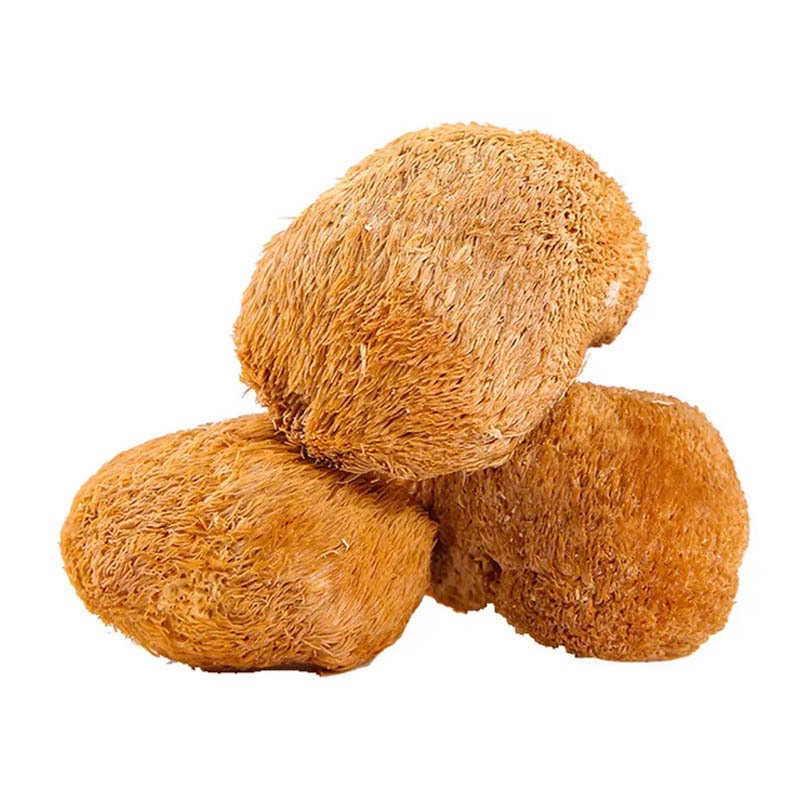 Hou Tou Gu Powder Lion's Mane Mushroom Powder 500g Fine Ground Culinary Herbal Powder - Image 3