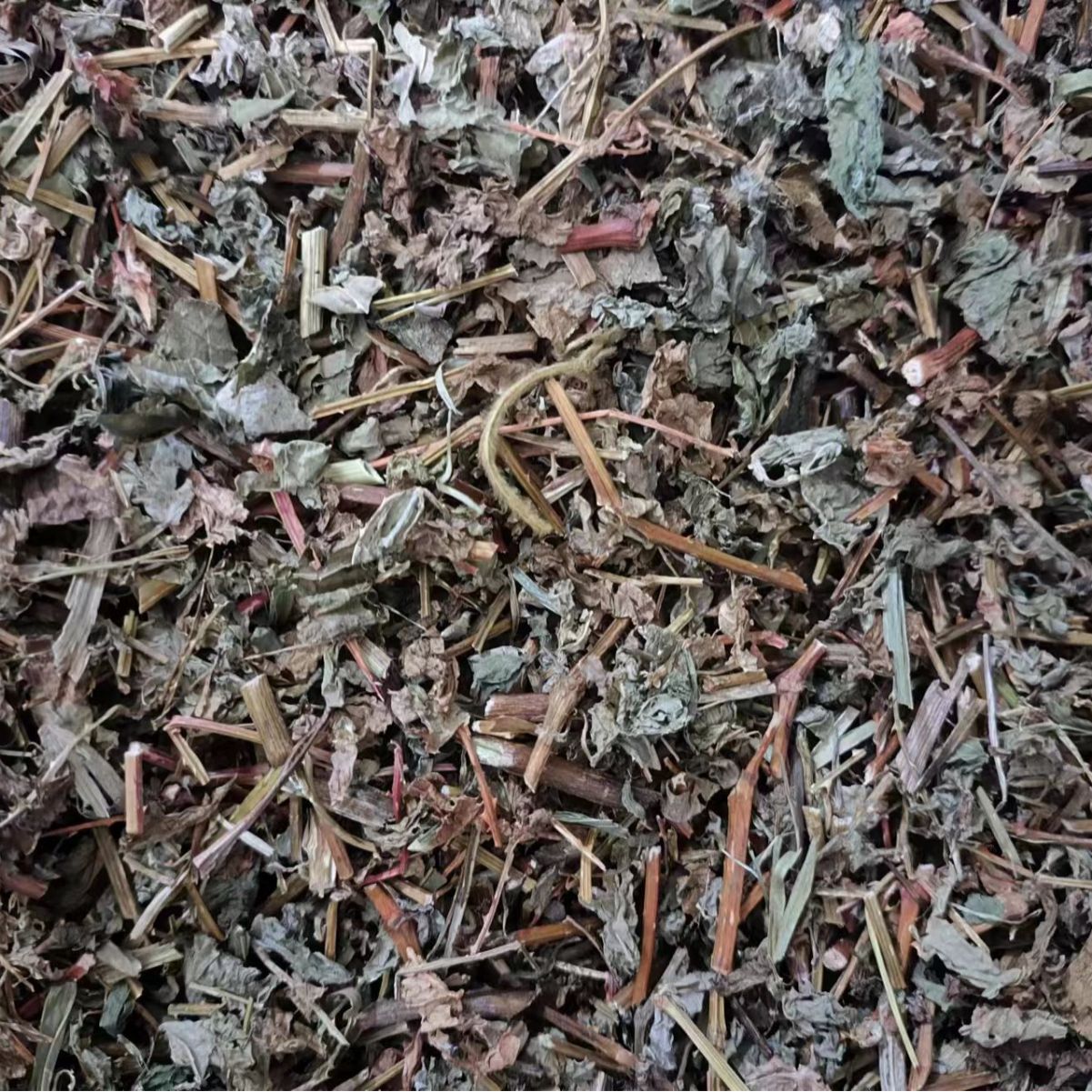 Gang Ban Gui Herb (Polygonum perfoliatum) — Dried Chinese Medicinal Herb, 500g - Image 4