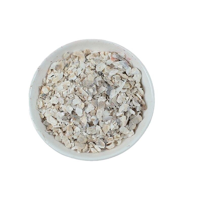 Dried Oyster Shell Mu Li 500g Natural Sun Dried Chinese Herbal Ingredient - Image 5