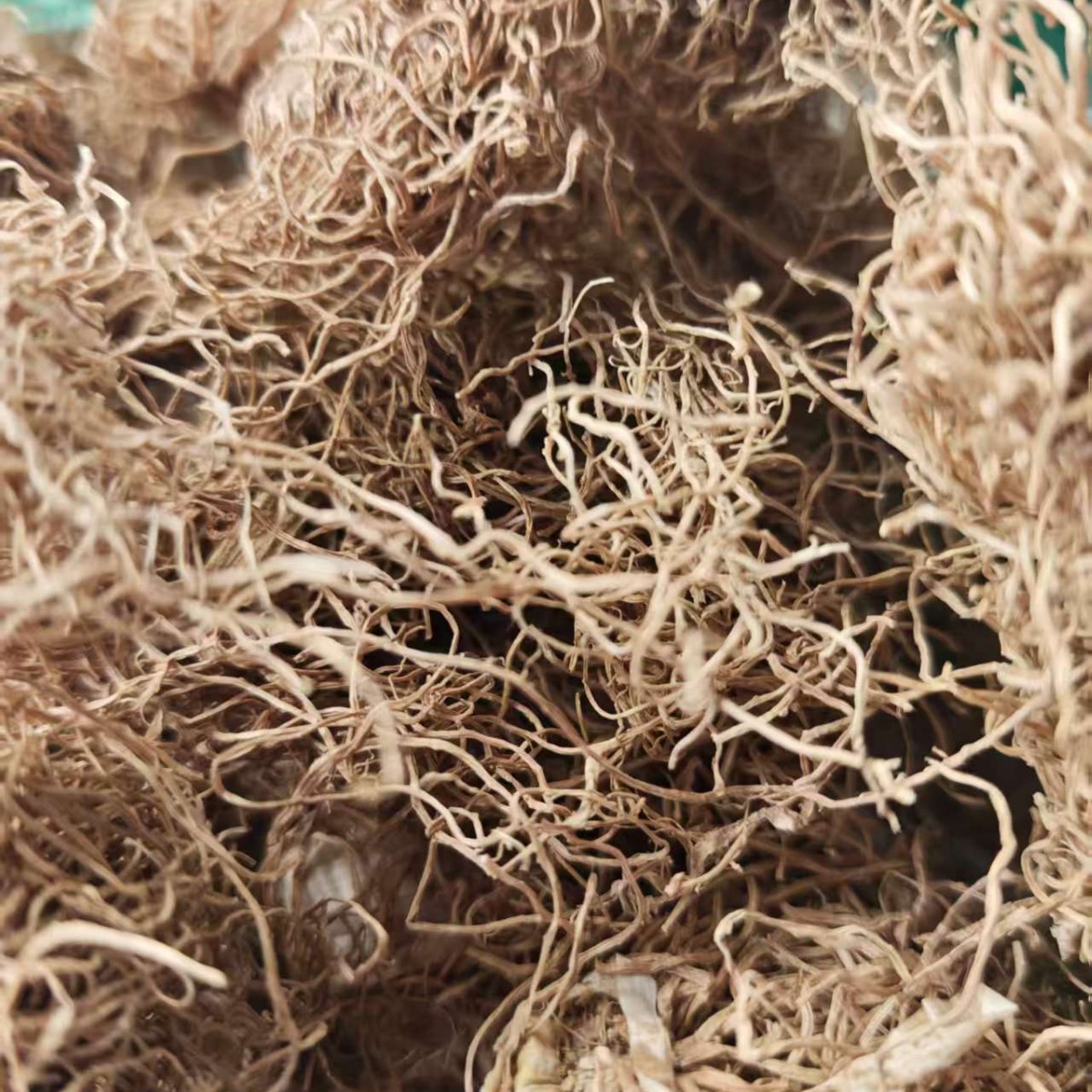 Scallion Root & Scallion White (Allium fistulosum) — Dried Culinary Herb for Cooking & Soup - Image 5