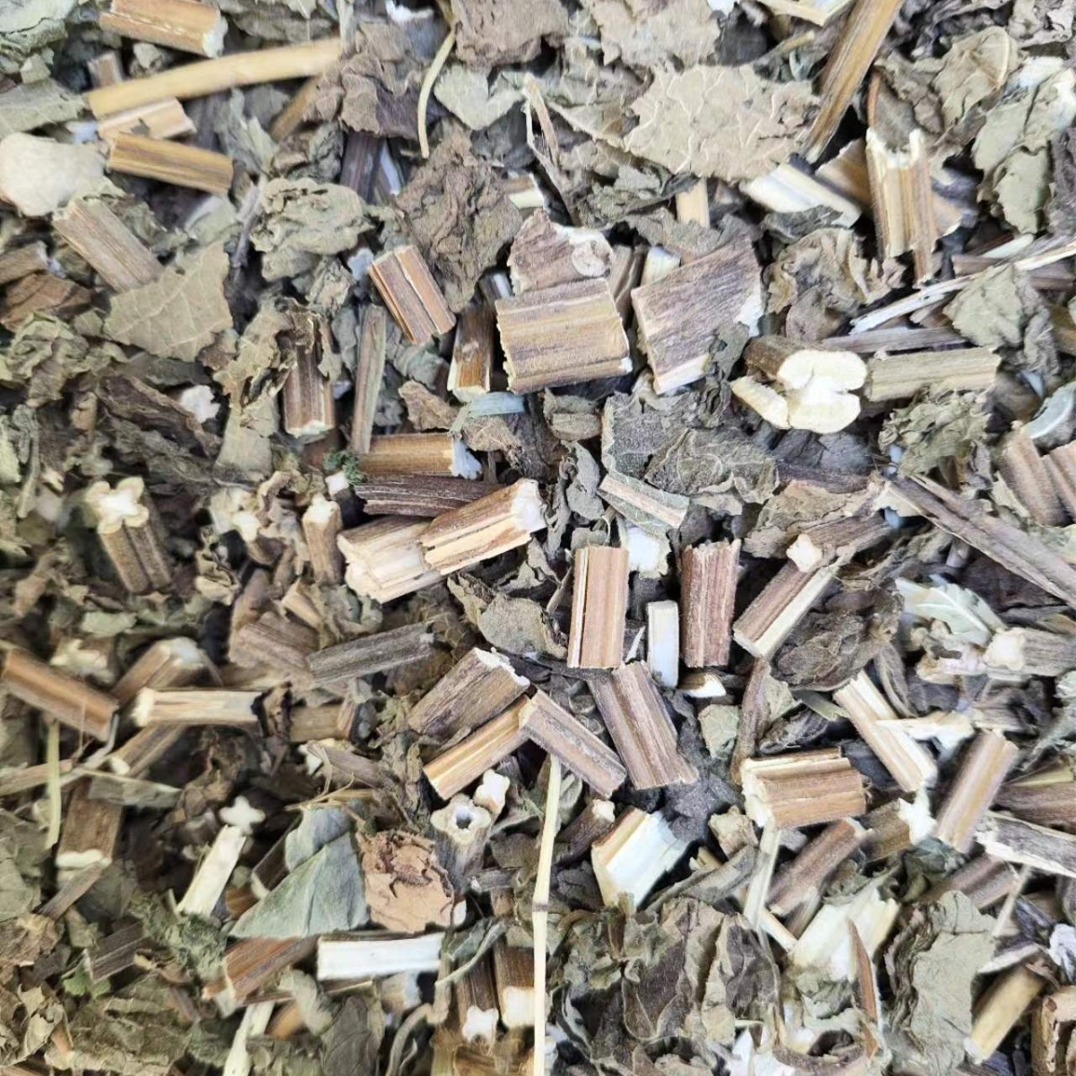 Xi Huang Cao (Rabdosia serra) — Dried Chinese Herbal Decoction Pieces, 500g - Image 4