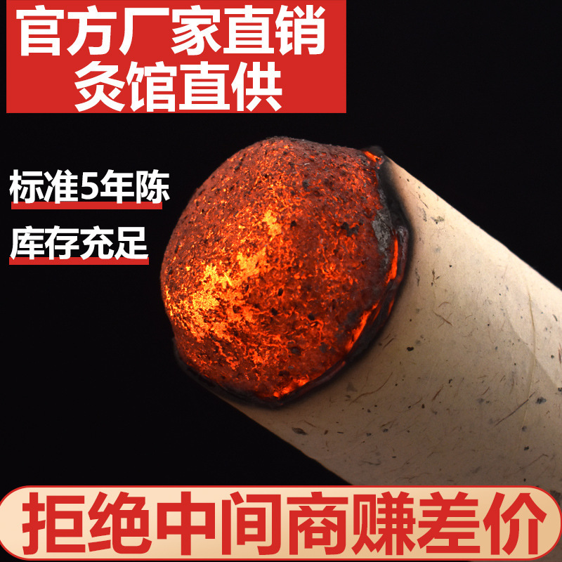 Extra Thick Aged Mugwort Moxa Rolls for Moxibustion Salon and Home Use - Image 3