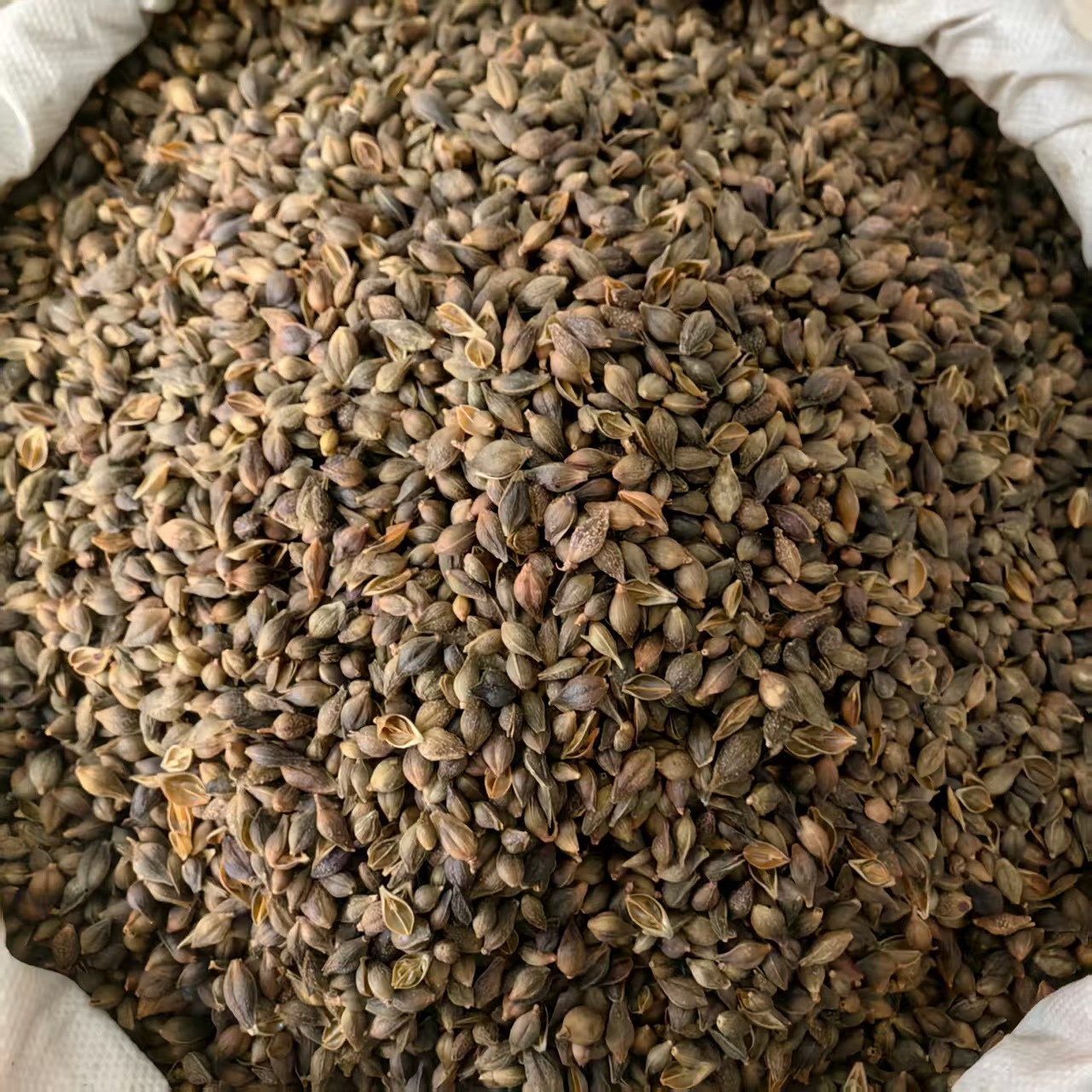 Dried Forsythia Fruit Lian Qiao Qing Qiao Whole Clean 500g - Image 4