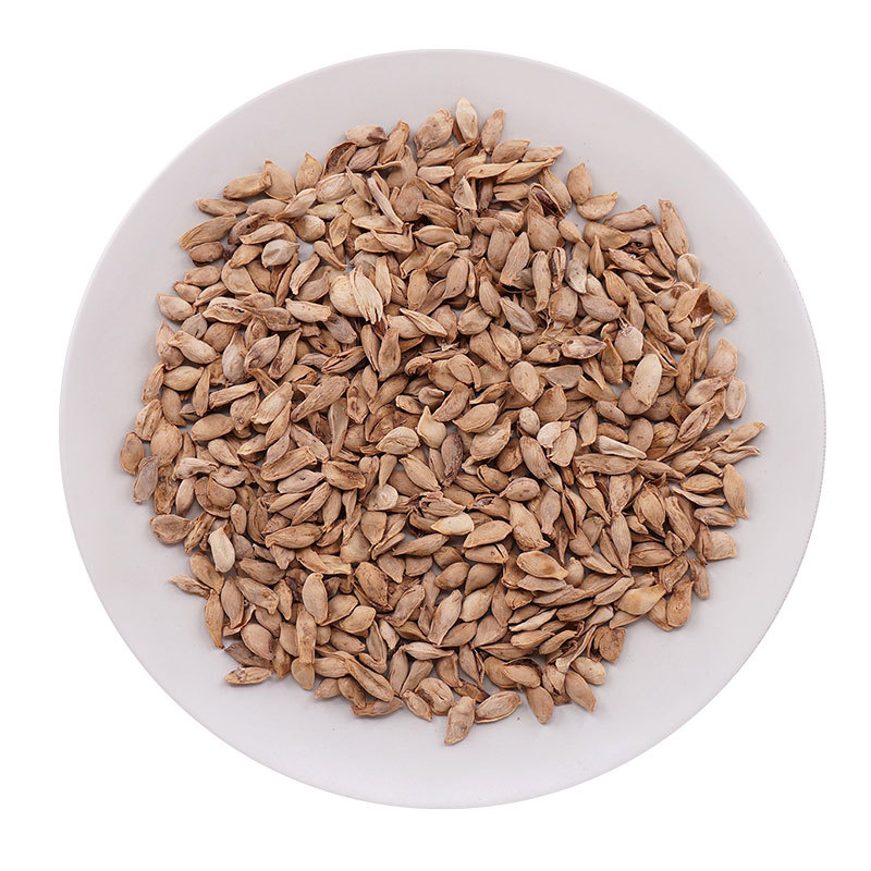 Dried Orange Seed Cheng He 500g Sichuan Raw Herb for Culinary Use - Image 5