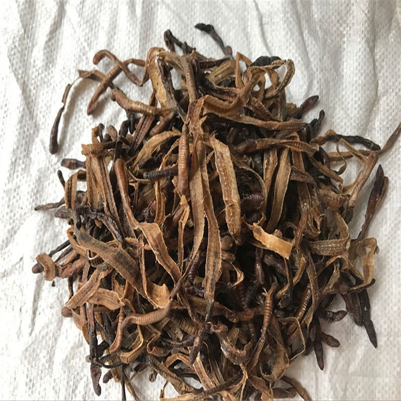 Dried Earthworm Di Long 500g Half-Cut Pheretima Traditional Chinese Herb Guangdong Origin - Image 4