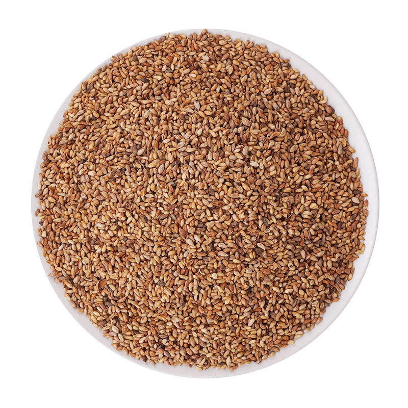 Platycladus Seed Bai Zi Ren 500g Dried Platycladus orientalis Seeds Traditional Herbal Ingredient - Image 5