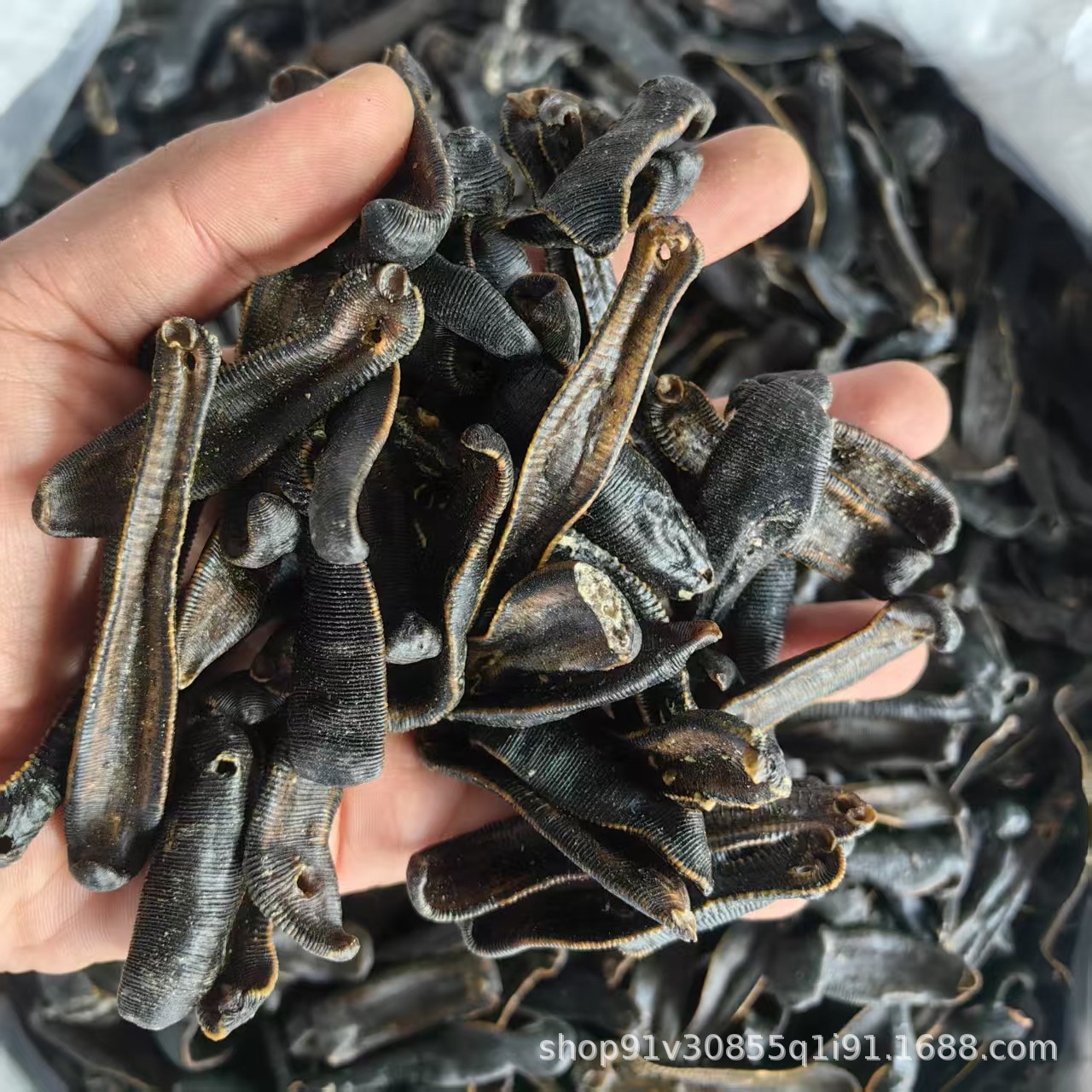 Dried Leech Shui Zhi 水蛭 Hirudo Slices 500g Traditional Chinese Herb Can Be Ground to Powder - Image 4