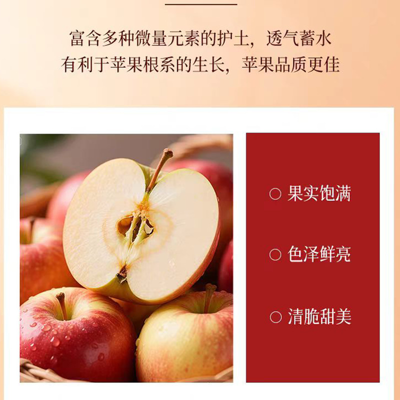 Apple & Astragalus Herbal Paste (Huang Qi Gao) — 300g Food-Herb Wellness Paste - Image 3