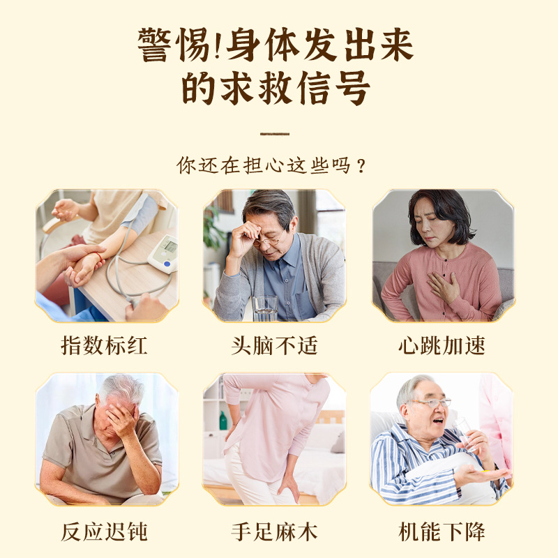 Dilong Shen Hua Pills Earthworm Saffron Ginseng Herbal Honey Pills 144g Daily Wellness Support - Image 2