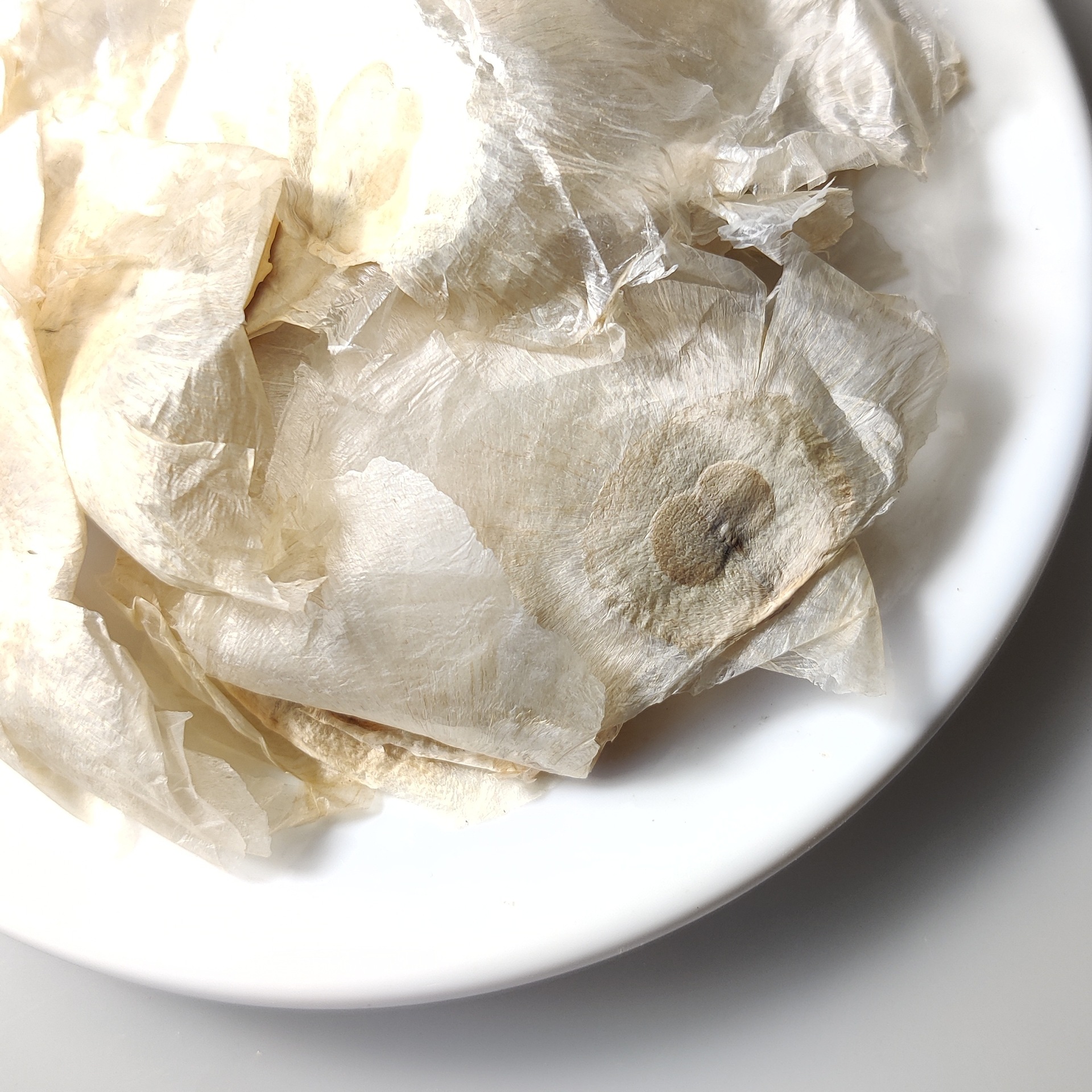 Yu Hu Die Butterfly Pea Seed Pods Mu Hu Die Dried Oroxylum indicum Herbal Tea 500g Bulk - Image 2