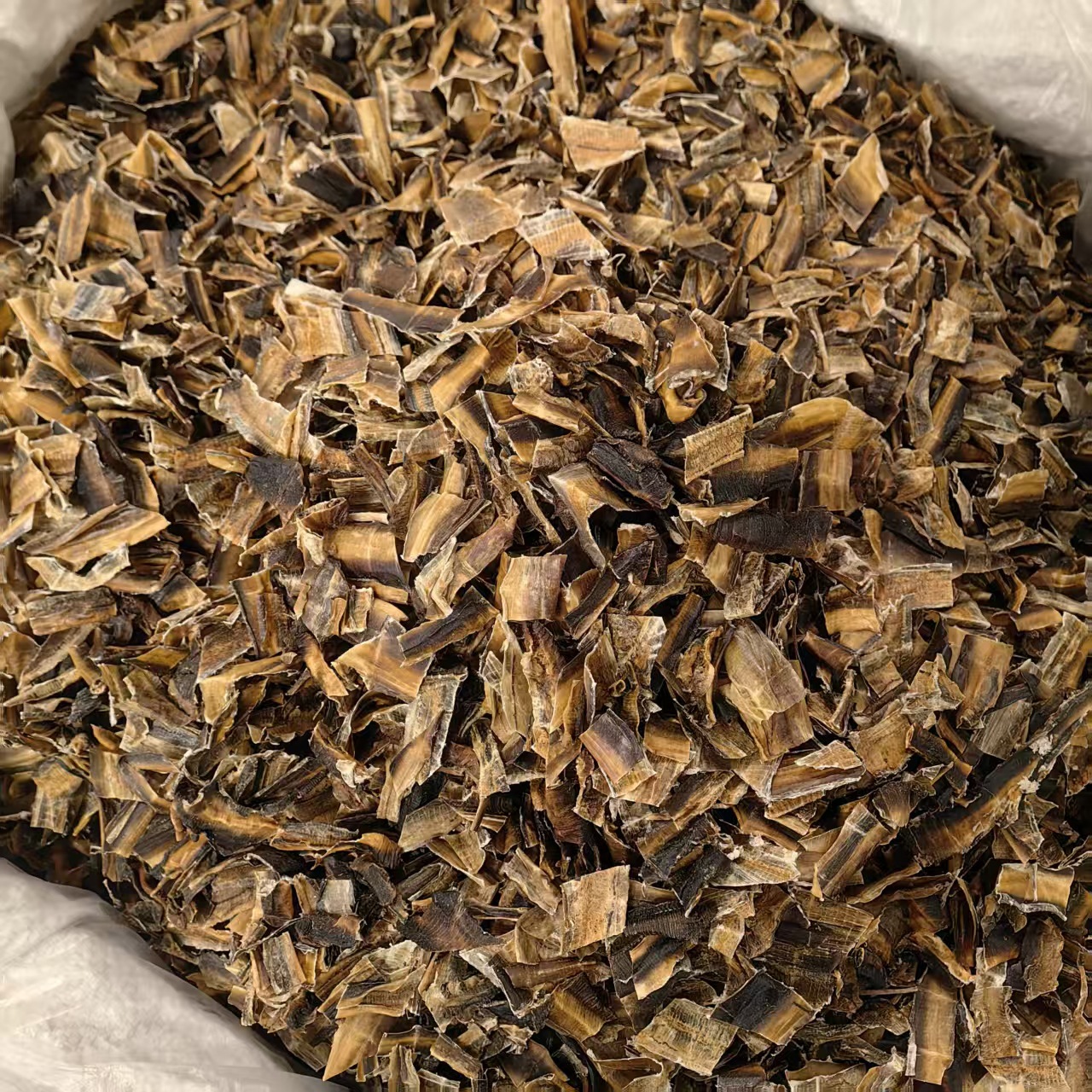 Dried Earthworm Di Long Slices Salt-Free Sand-Free Guangxi 2025 Harvest 500g Powder Option - Image 4