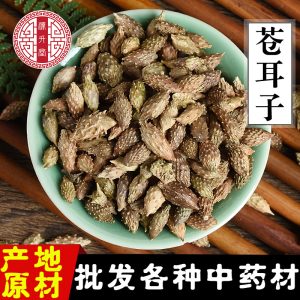 Cang Er Zi (Xanthium sibiricum) — De-Spined Dried Fruit for Herbal Decoction & Soup