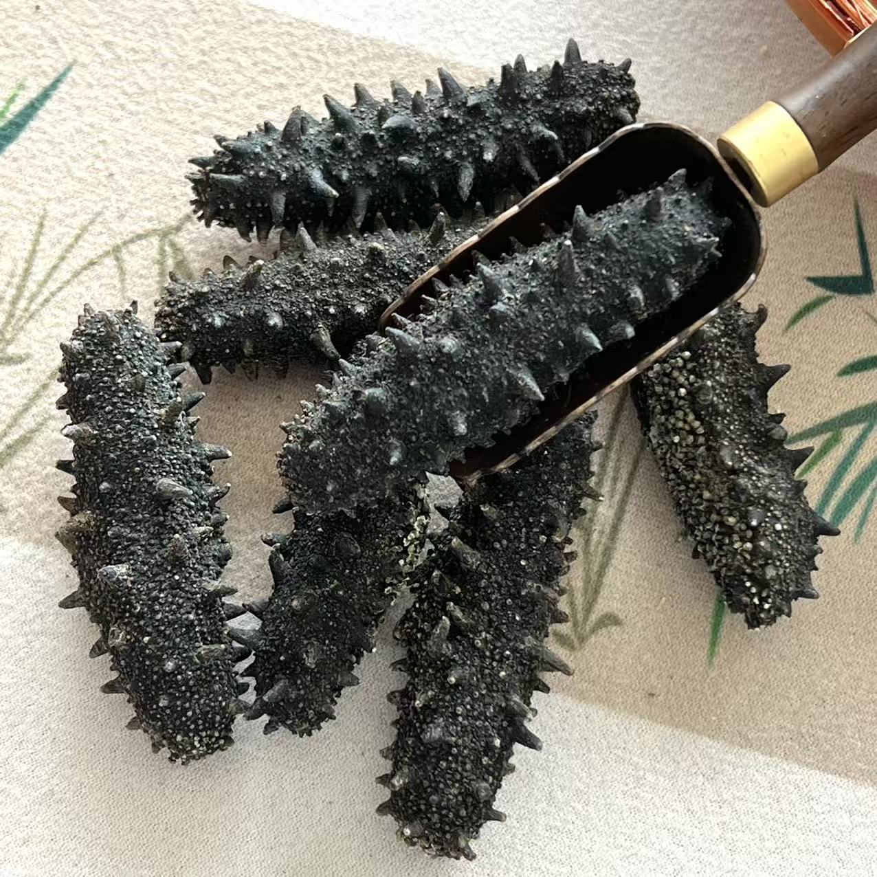Dalian Lightly Dried Sea Cucumber Gift Box 50g Premium Liao Sea Cucumber Dried Seafood - Image 2