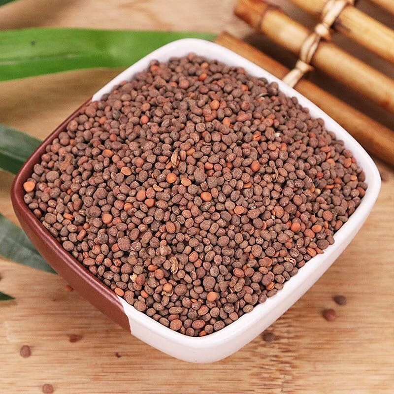 Garden Balsam Seed Ji Xing Zi 急性子 500g Dried Impatiens Balsamina Seeds Traditional Chinese Herb - Image 2