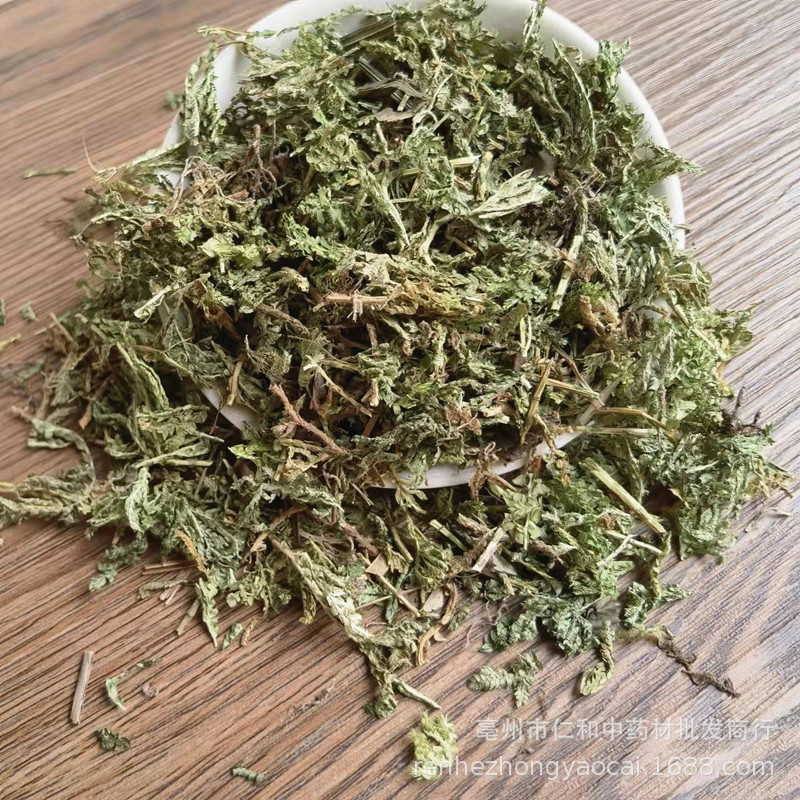 Dried Selaginella Herb Shi Shang Bai Whole Plant Traditional TCM Botanical Bulk Supply - Image 2
