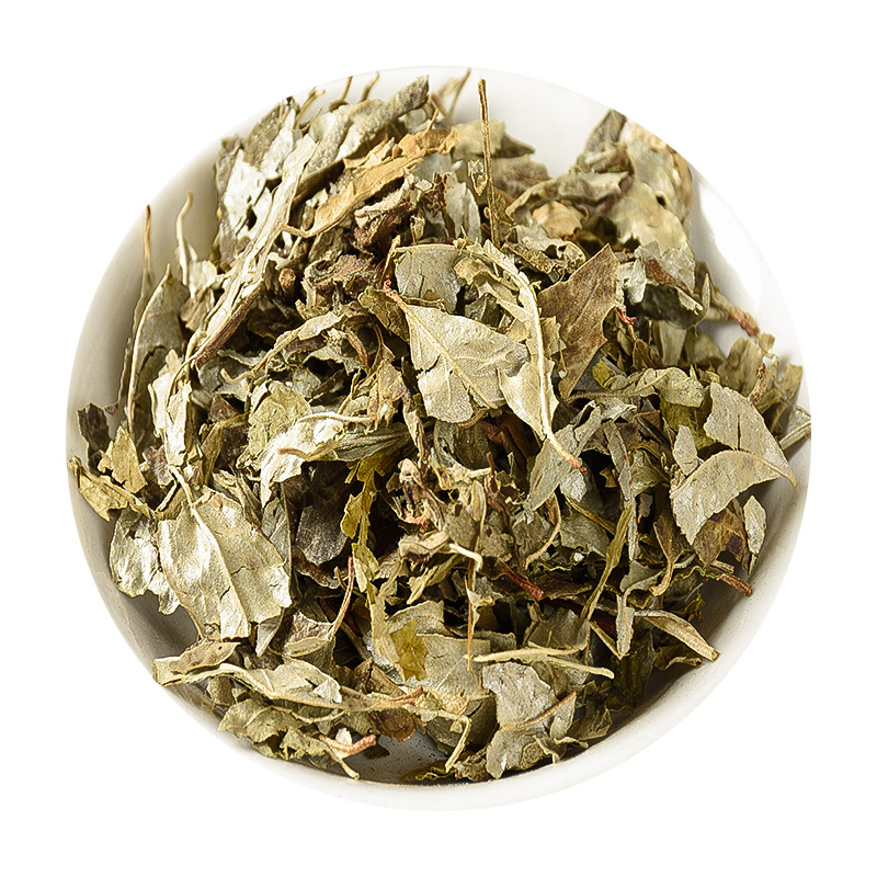 Hu Tuizi Ye (Elaeagnus pungens Leaf) — Dried Food Herb, Unsulfured New Crop - Image 5