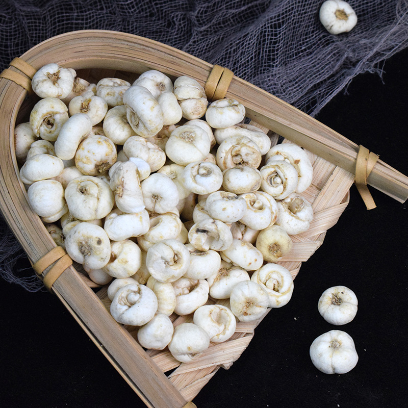 Fritillaria Bulb Chuan Bei Mu Dried Chinese Herbal Bulbs for Decoction and Traditional Use 500g - Image 2