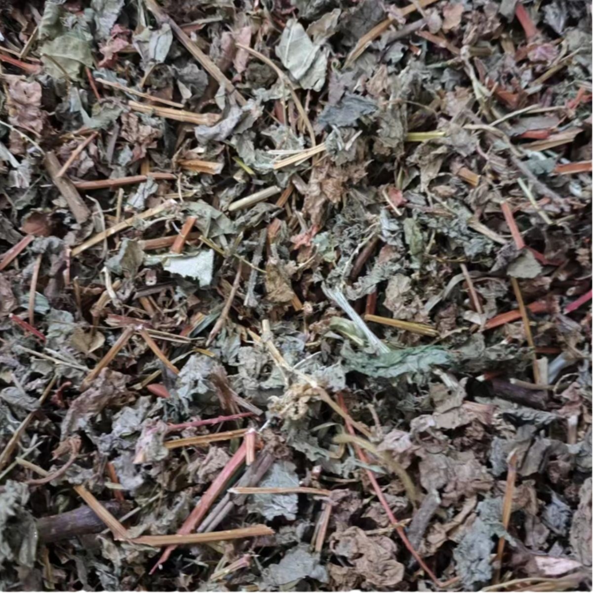 Gang Ban Gui Herb (Polygonum perfoliatum) — Dried Chinese Medicinal Herb, 500g - Image 5
