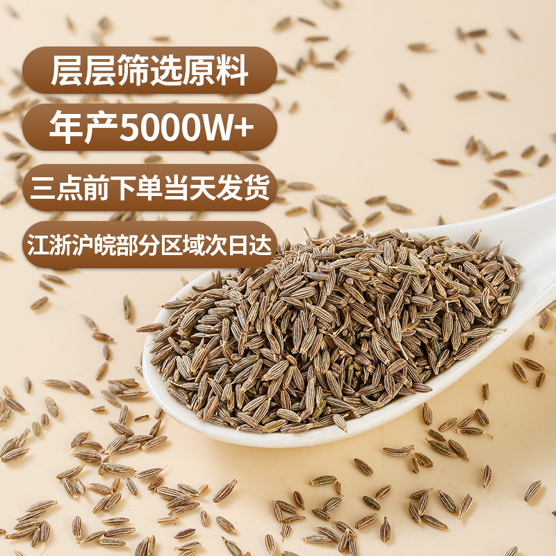 Cumin Seeds (Cuminum cyminum) — Xinjiang Whole Cumin for BBQ & Spice Blends - Image 3