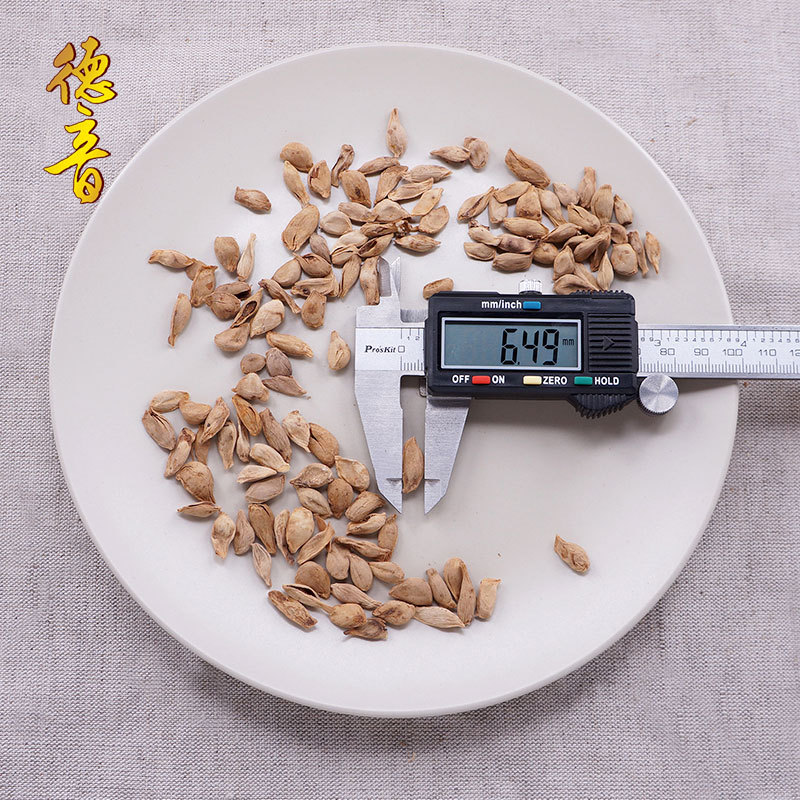 Dried Orange Seed Cheng He 500g Sichuan Raw Herb for Culinary Use - Image 3