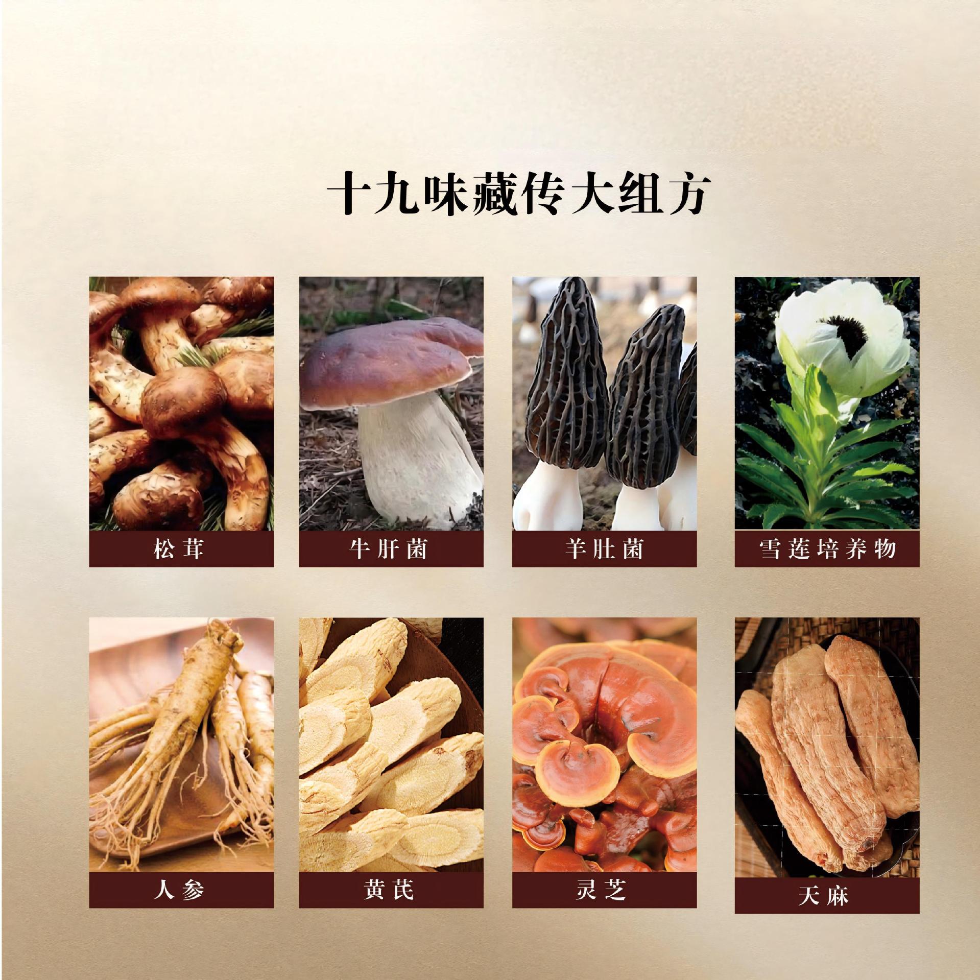 Nineteen Herb Tibetan Wellness Pills Shizhen Wan Ginseng Lingzhi Daily Herbal Supplement 144g - Image 3