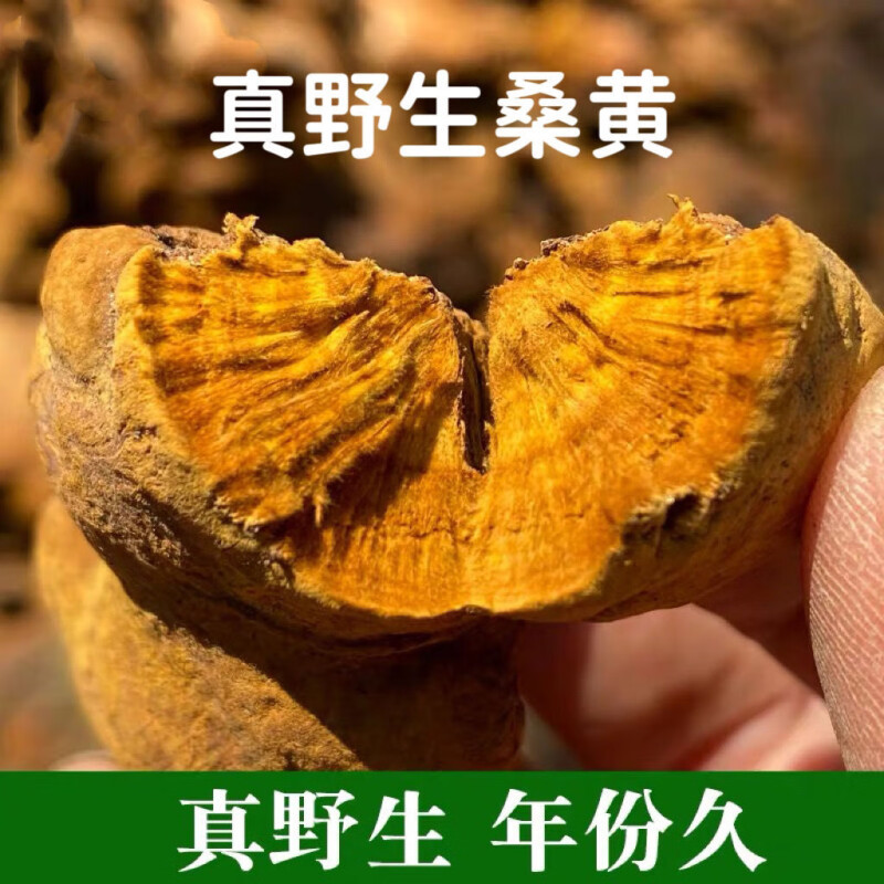 Sanghuang Mushroom 500g Dried Phellinus from Mulberry Tree Traditional Herbal Tea and Decoction Herb - Image 2