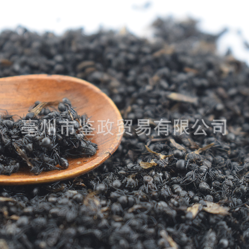 Dried Black Ant Whole Insect 500g Traditional Chinese Herbal Material for Infusion and Decoction Use - Image 4