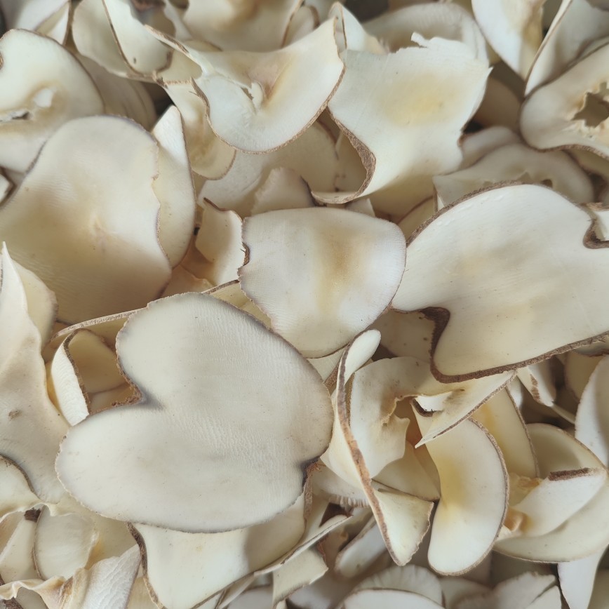Hai Di Ye Dried Slices (Borassus flabellifer) — Food Herb for Soup & Dessert - Image 2