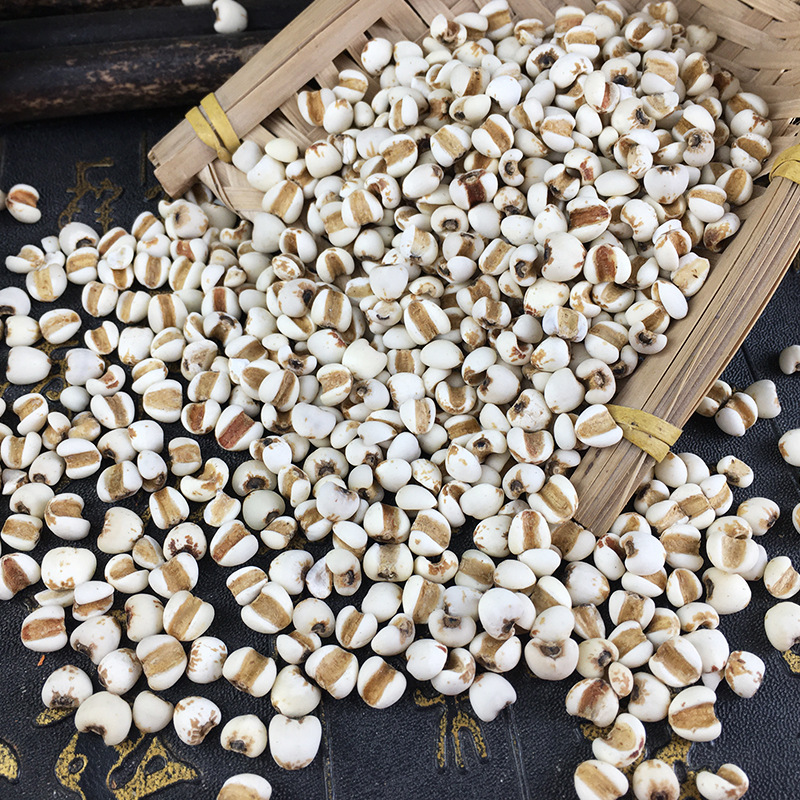 Coix Seed Yi Yi Ren 500g Dried Job's Tears Grains for Soup Congee and Herbal Tea - Image 3