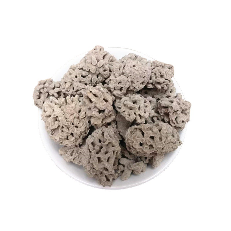 Hai Fu Shi Hua Sea Fossils Flower Dried Marine Mineral Herb Traditional TCM Decoction Ingredient Large Granules - Image 5