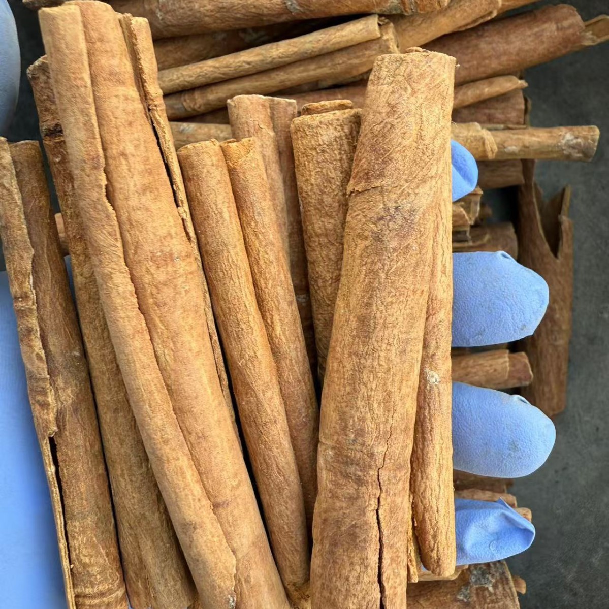 Dried Cinnamon Bark Yan Gui Rou Gui Chinese Spice for Braised Meats Stews and Soups 500g - Image 4