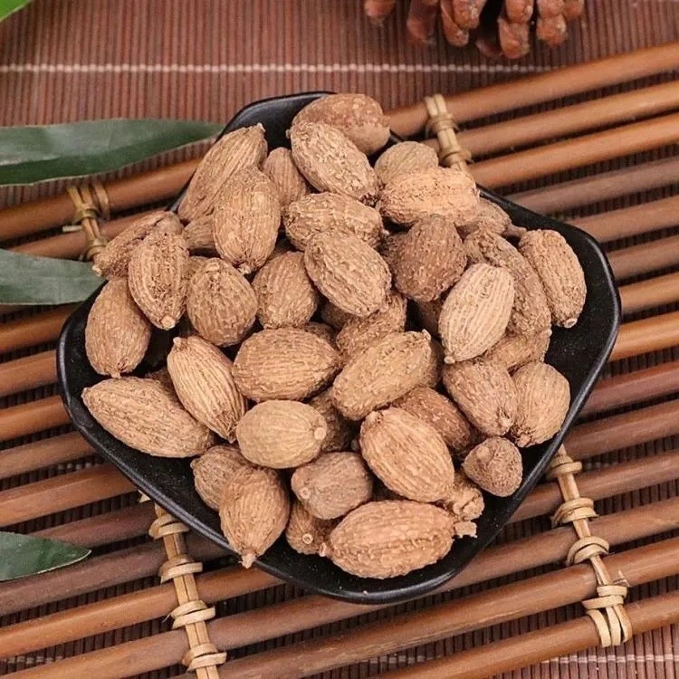 Dried Amomum Fruit Sha Ren 砂仁 Whole Pods 500g Bulk New Harvest Yunnan Guangxi Culinary TCM Herb - Image 4