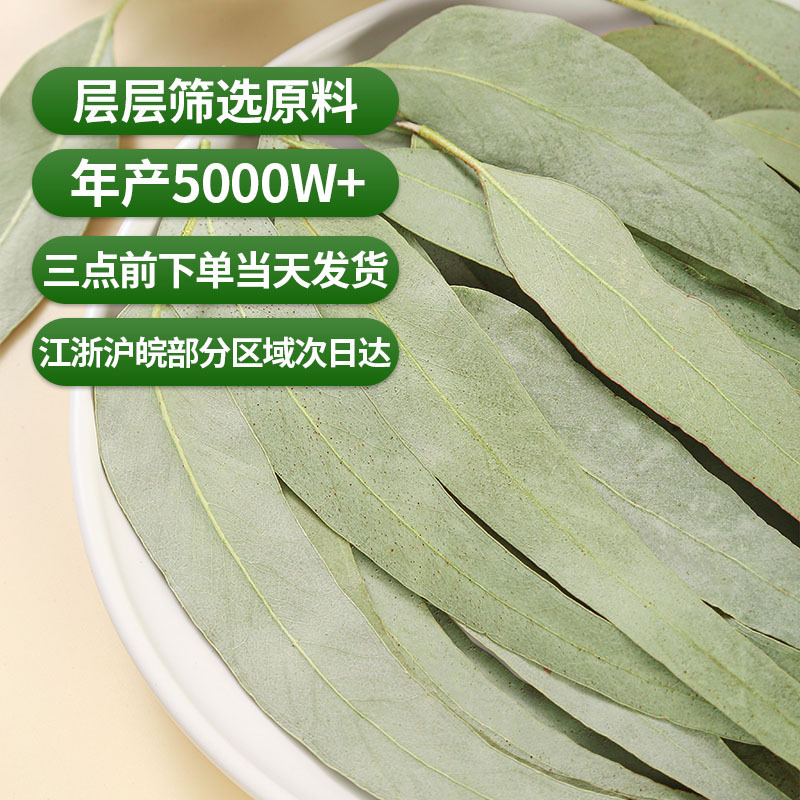 Eucalyptus Leaves (Eucalyptus globulus) — Dried Blue Gum Leaf for Sachets & Herbal Blends - Image 4