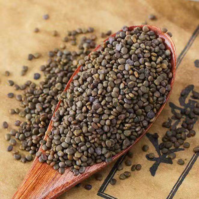 Sha Yuan Zi Powder 500g Astragalus Cistanche Free Herbal Powder for Daily Tea and Culinary Use - Image 4