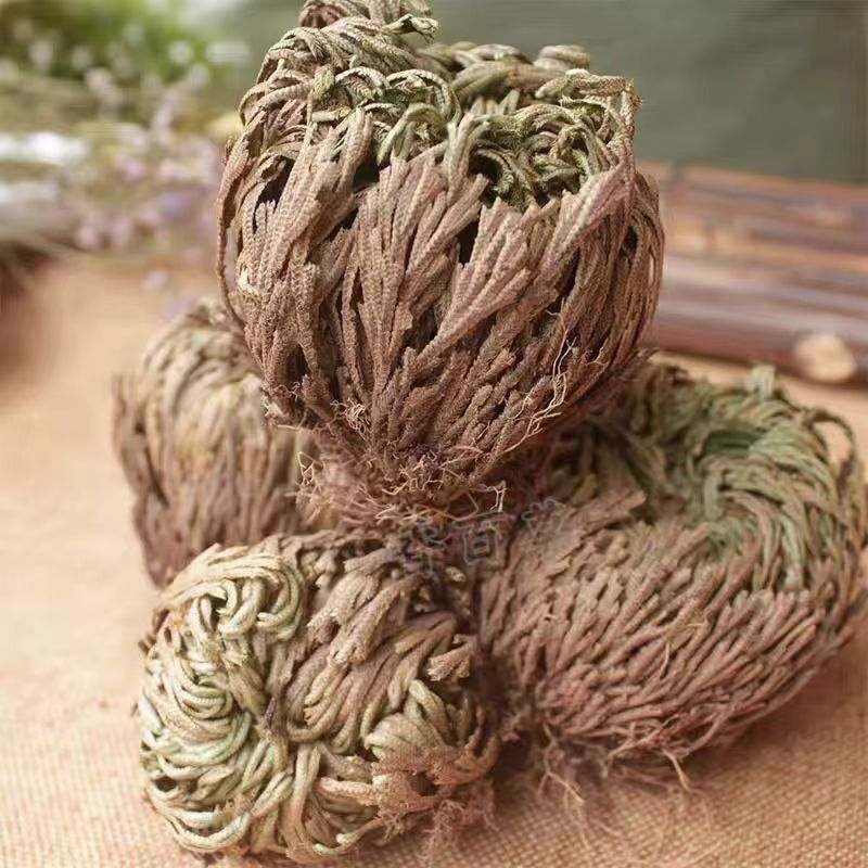 Dried Selaginella Herb Juan Bai 500g Whole Plant Resurrection Grass Traditional TCM Botanical - Image 4