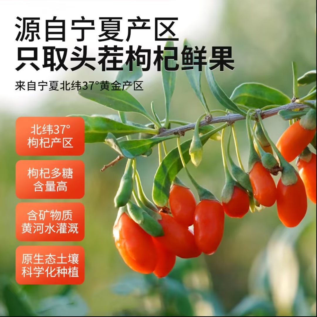 Goji Berry Puree Juice 500ml Ningxia Fresh Goji Original Juice Ready to Drink - Image 4