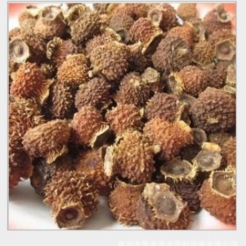 Ci Li Dried Fruit (Rosa roxburghii) — Guizhou Wild-Grown Herbal Tea Fruit, 500g - Image 2