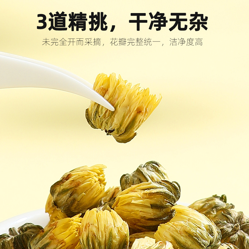 Tongxiang First Harvest Fetal Chrysanthemum Tea Buds Dried Flower Tea 40g Can - Image 2