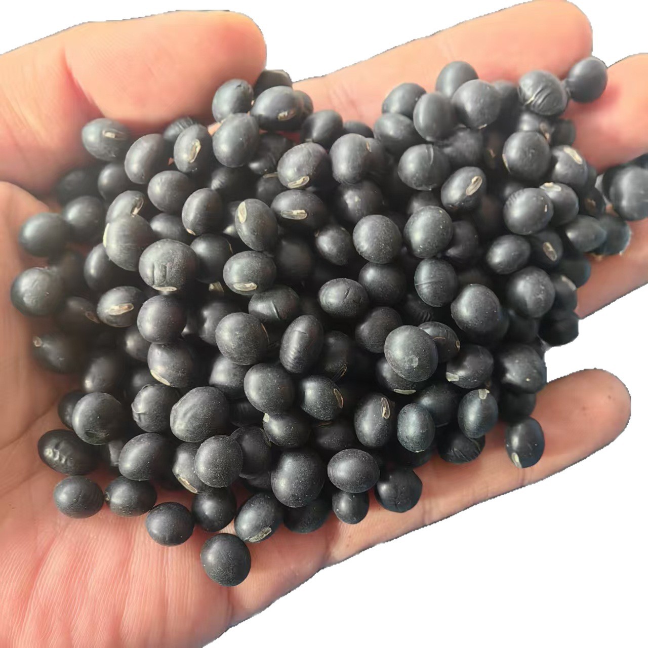 Northeast Yellow-Heart Black Beans Hei Dou 2025 New Season Dried Whole Beans for Cooking and Herbal Use - Image 5