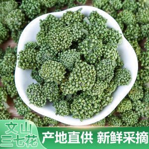 San Qi Flower (Panax notoginseng) — Dried Wenshan Flower Buds for Herbal Tea