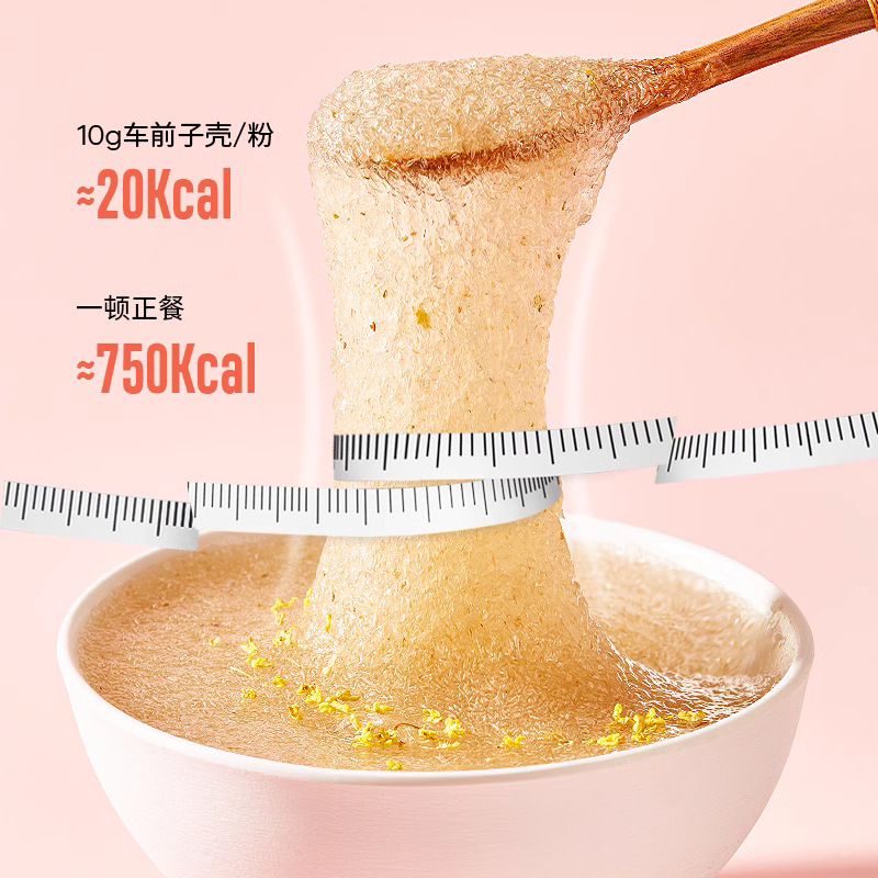 Psyllium Husk Powder Che Qian Zi Ke 100g Jar Food Grade Meal Replacement Supplement - Image 2