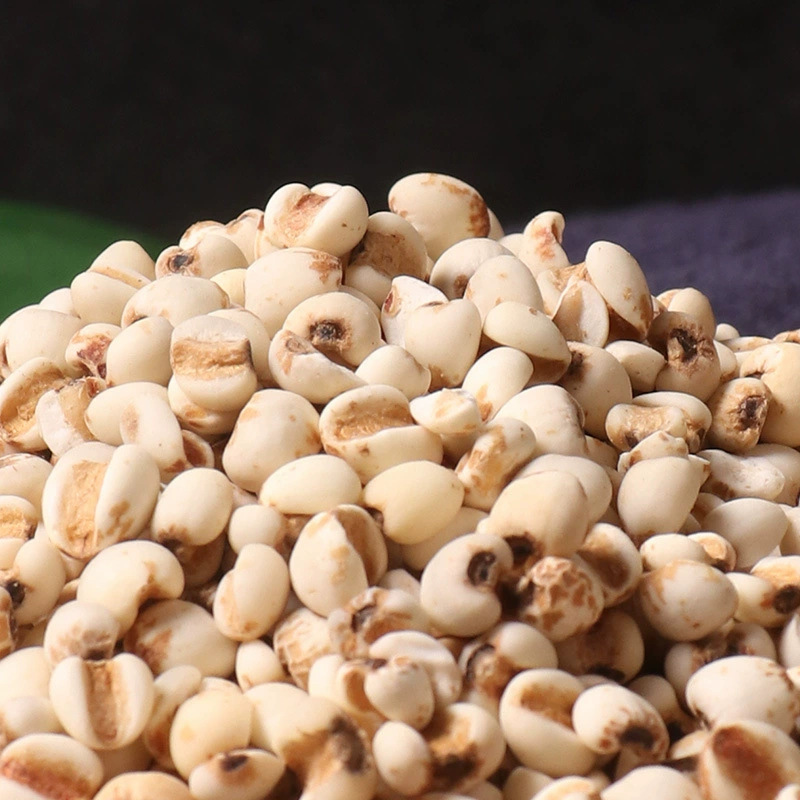 Coix Seed Yi Yi Ren 500g Dried Job's Tears for Tea Soup and Soaking - Image 3